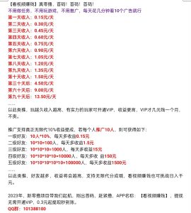 看视频赚钱-九站网